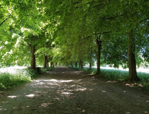 Green Town Farnham?